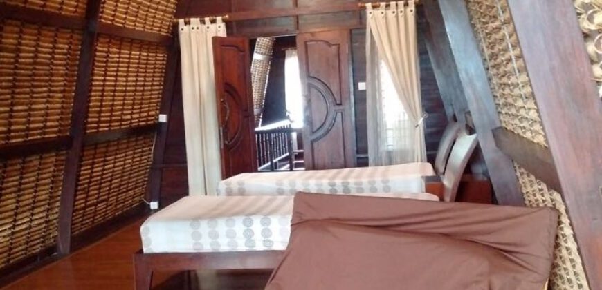2-bedroom Villa Serena in Balangan
