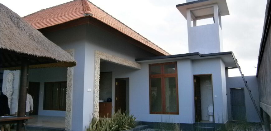 2-Bedroom Villa Mankato in Seminyak