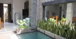 2-bedroom Villa Homestead in Denpasar