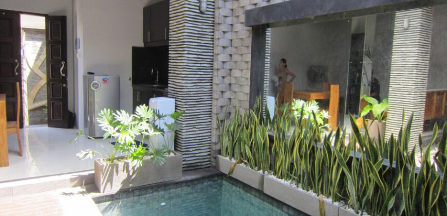 2-bedroom Villa Homestead in Denpasar