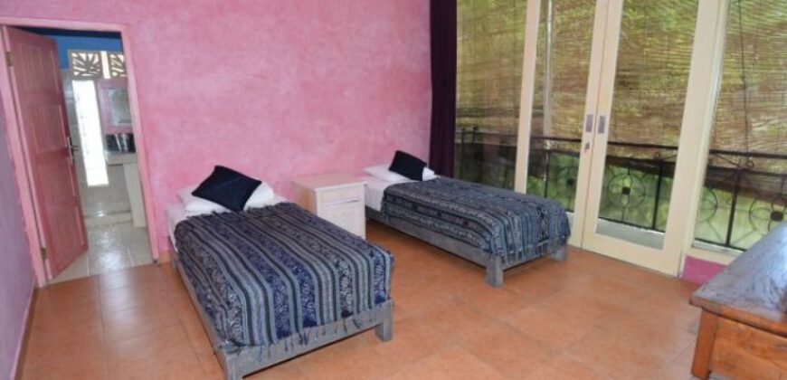 4-bedroom Villa Novato in Canggu