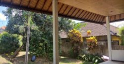 2-bedroom House Jeanette in Canggu – AY1224