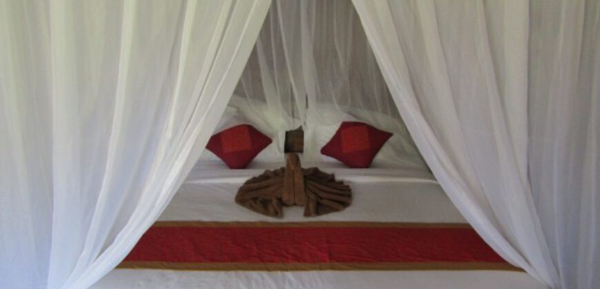 3-bedroom Villa Kiki in Ubud