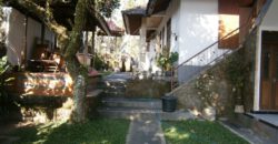 5-bedroom House Unagi in Ubud